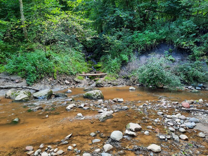 ملف:Neciuikos 2022b.jpg