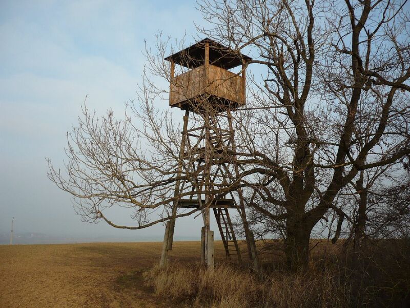 ملف:Rozhledna Statula.JPG