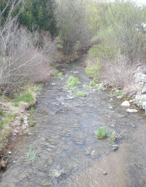 ملف:Sechler Run.JPG