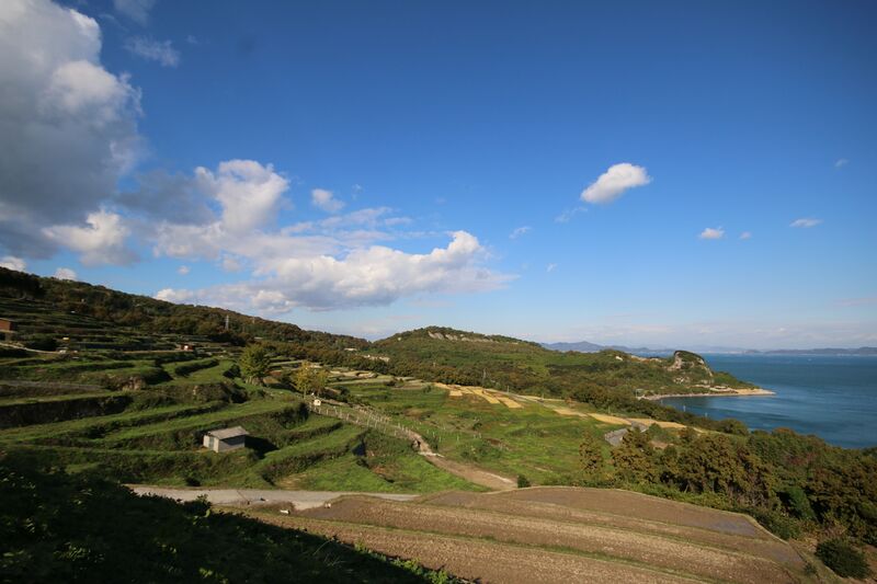 ملف:Teshima fields.jpg