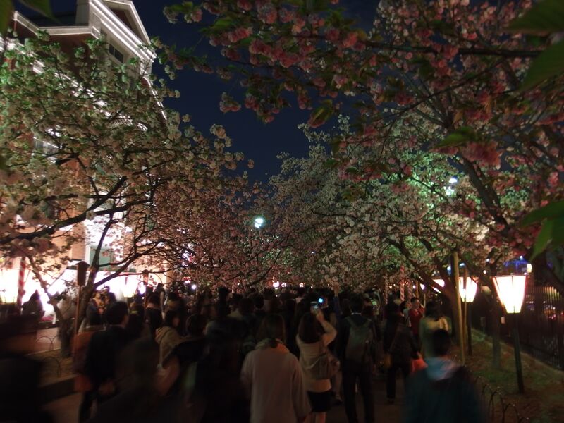 ملف:"TORINUKE" in 201604 024.JPG