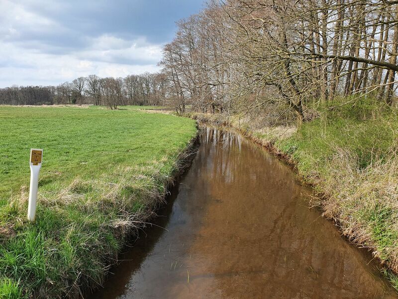 ملف:Vissel (Rodau).jpg