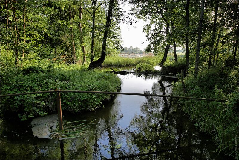 ملف:Гарнастаевічы. Рака.jpg