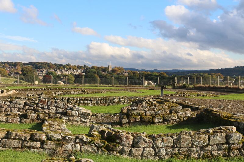 ملف:Corstopitum 1.jpg