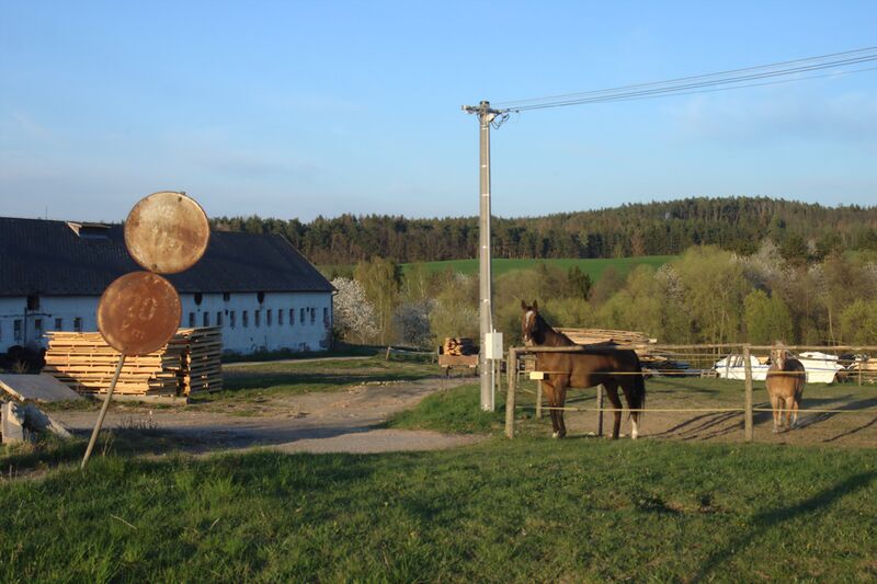 ملف:Křtěnovice, koně.jpg