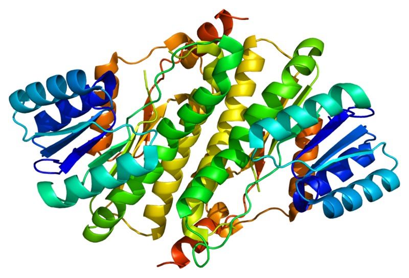 ملف:Protein HSD17B11 PDB 1yb1.png