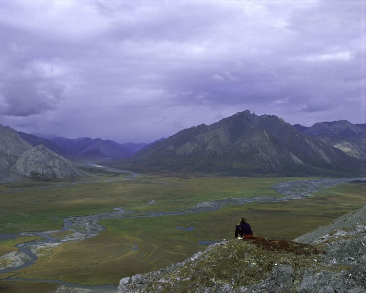 ملف:Arctic National Wildlife Refuge.jpg