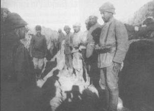 البارون كـُلمار فون در گولتس يتفقد حصار الكوت