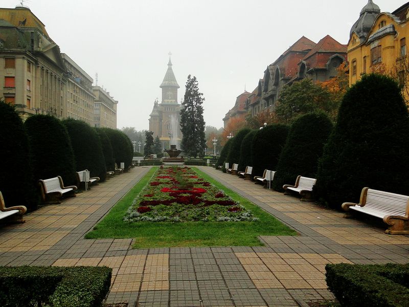 ملف:Timisoara.jpg