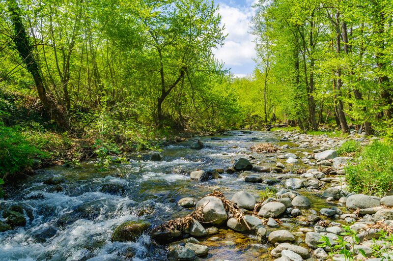 ملف:Викиекспедиција Бојмија 076.jpg