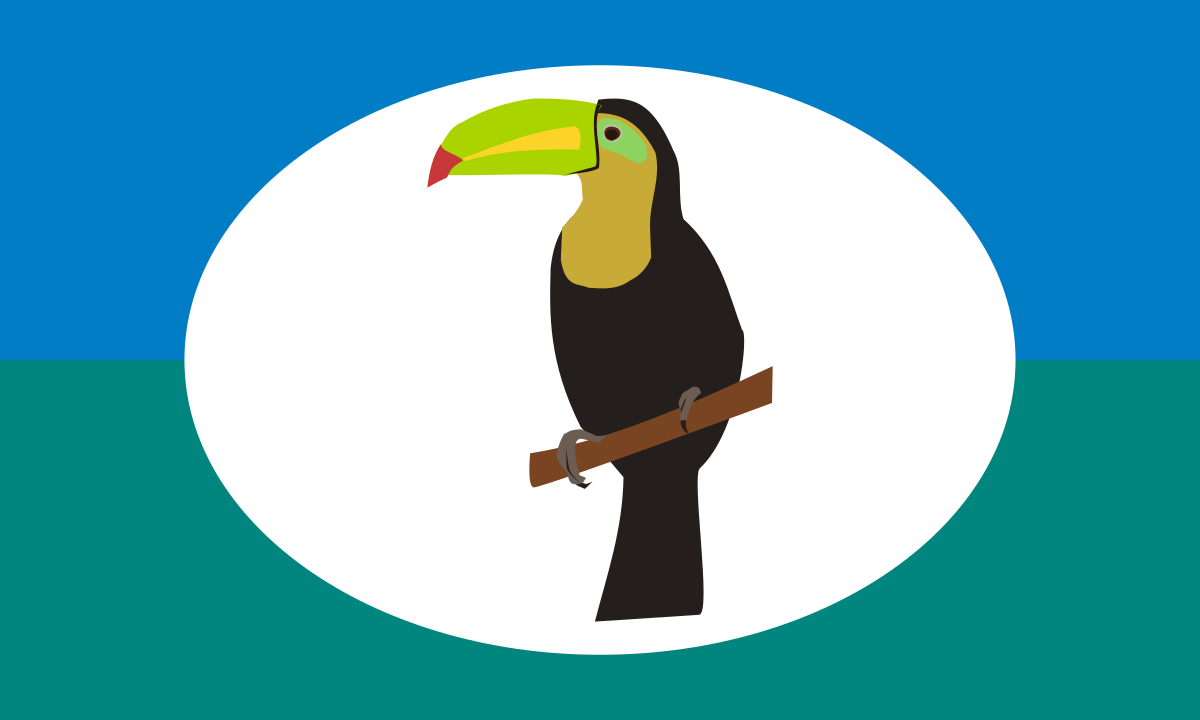 ملفBandera Partido Verde Ecologista Cartago Costa Rica.svg المعرفة