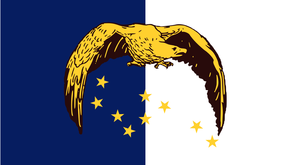 ملف:Flag of the Azores Liberation Front.svg - المعرفة