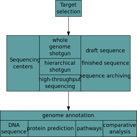 ملف:Genome sequencing project flowchart.svg