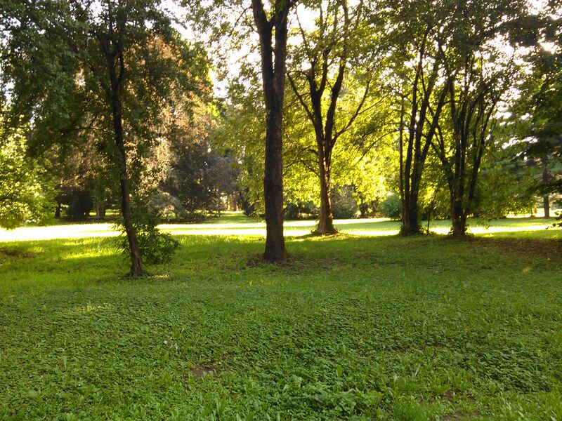 ملف:Parco Ex-ILA 07.jpg