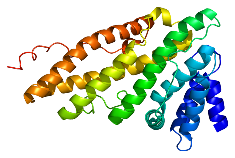 ملف:Protein PICALM PDB 1hf8.png