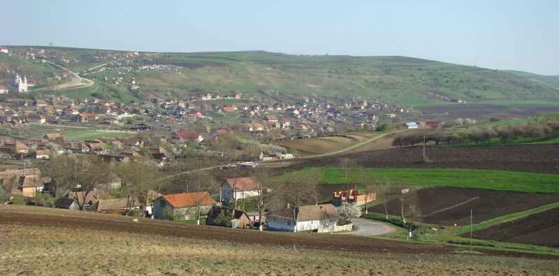 ملف:TriteniiDeJosCJ (3).JPG