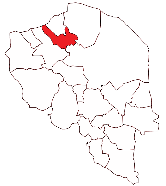 ملف:Zarand County.svg