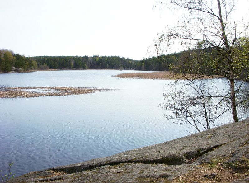 ملف:Dammtorpssjön 2009c.jpg