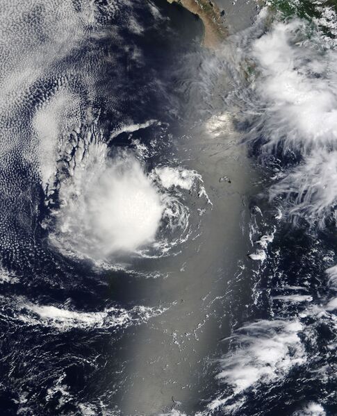 ملف:Ivette 2022-08-15 1810Z.jpg