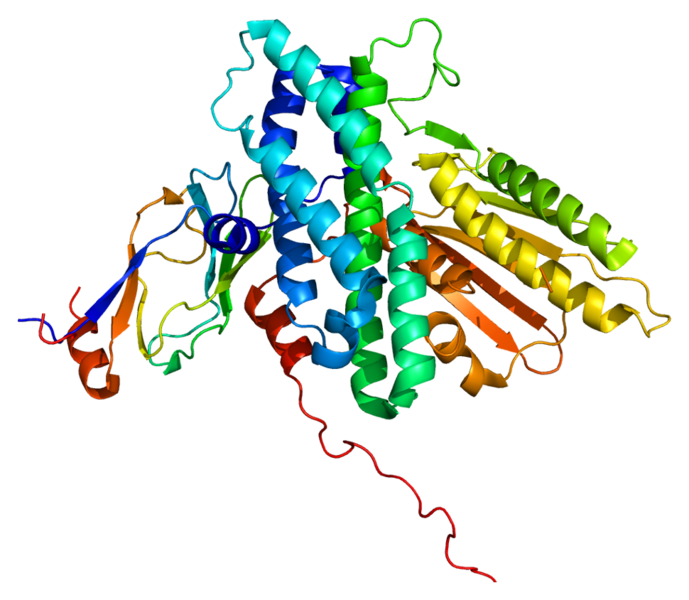 ملف:Protein PDK3 PDB 1y8n.png