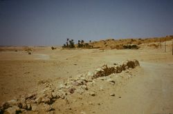 واحة الفقهاء