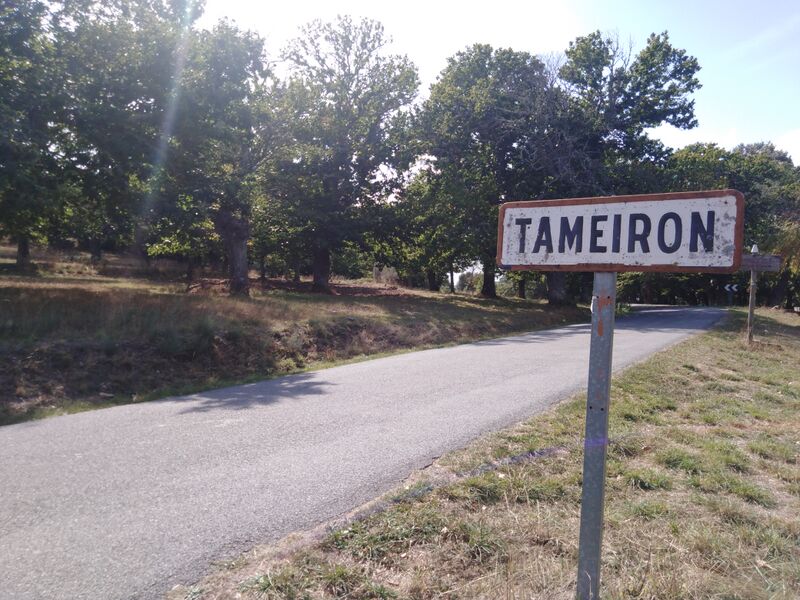 ملف:O Tameirón sinal.jpg