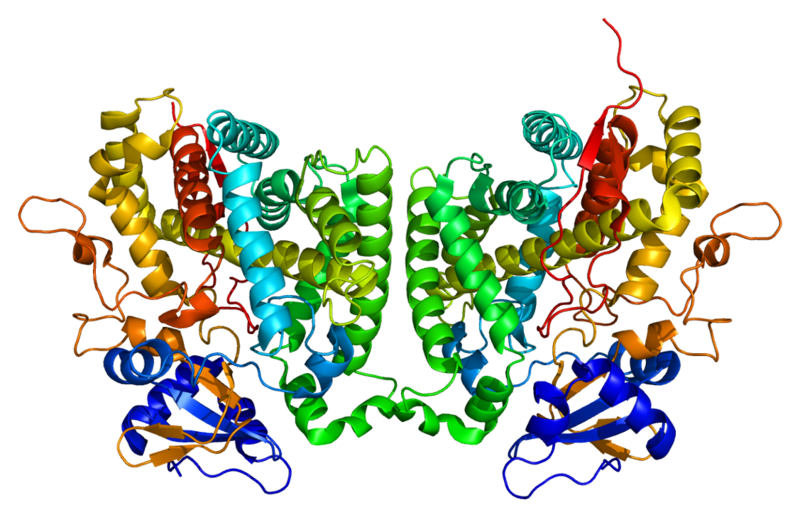 ملف:Protein CYP2R1 PDB 2ojd.png