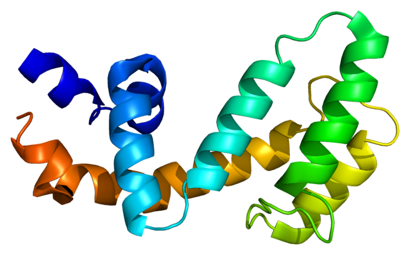 ملف:Protein RGS8 PDB 2ihd.png