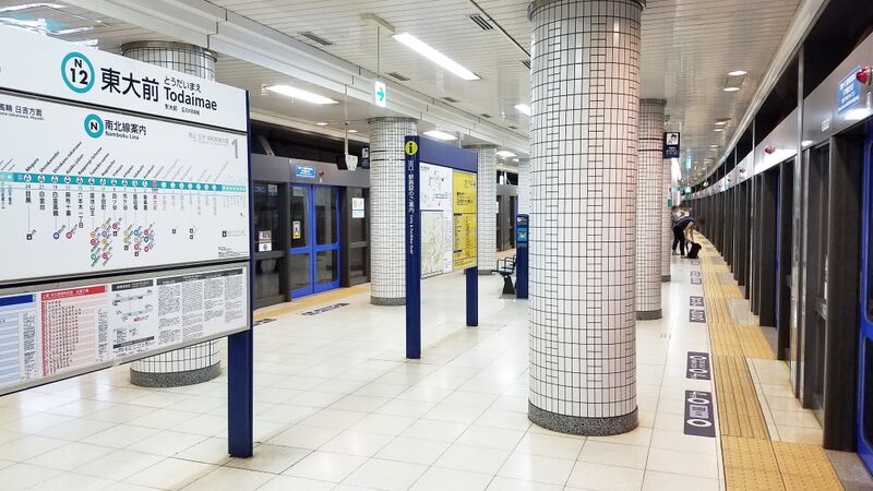 ملف:TokyoMetro-N12-Todaimae-station-platform-20170921-131221.jpg