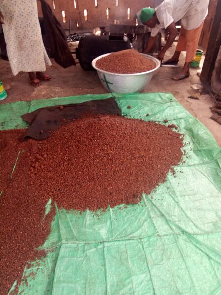 ملف:Ground sheanut.jpg