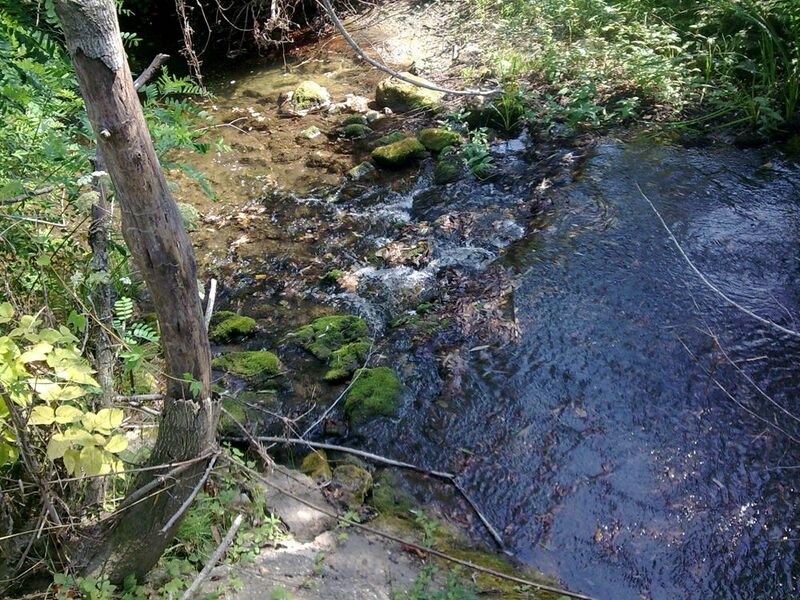 ملف:Reka Ralja.jpg