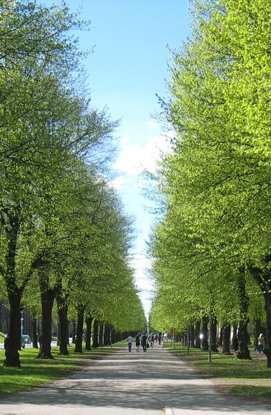 ملف:Sodra prom.JPG