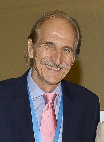 ملف:Carmelo Angulo 2014 (cropped).jpg