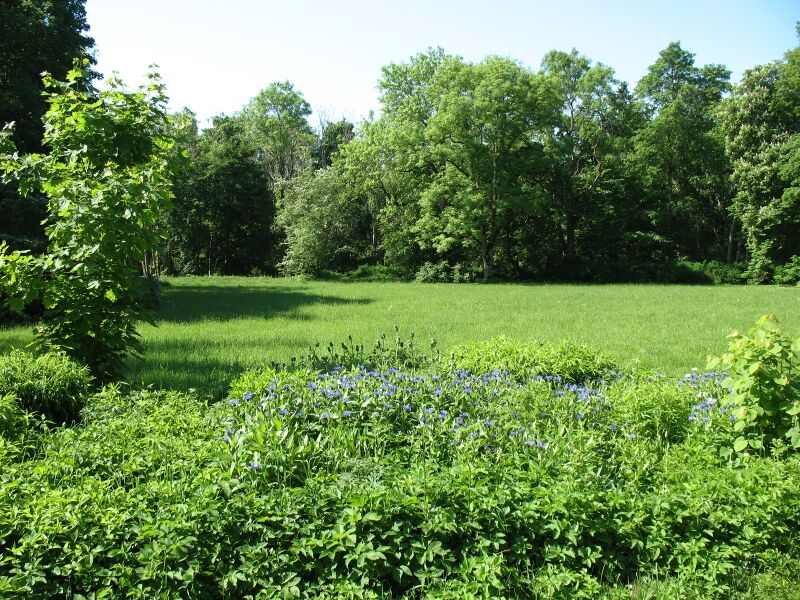 ملف:Harku mõisa park.JPG