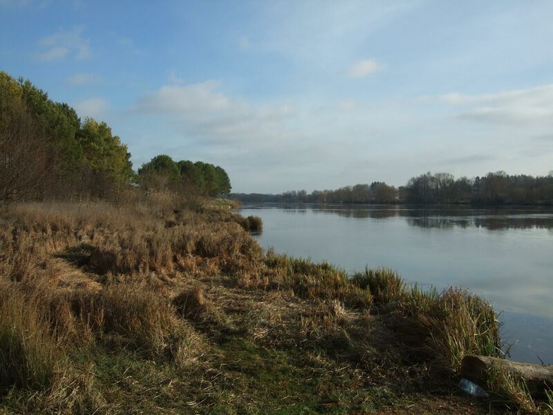 ملف:Ilkivskii stav 2.jpg