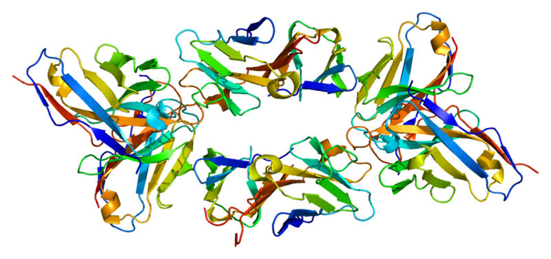 ملف:Protein CD3D PDB 1xiw.png