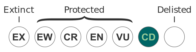 ملف:Status EPBC CD.svg - المعرفة