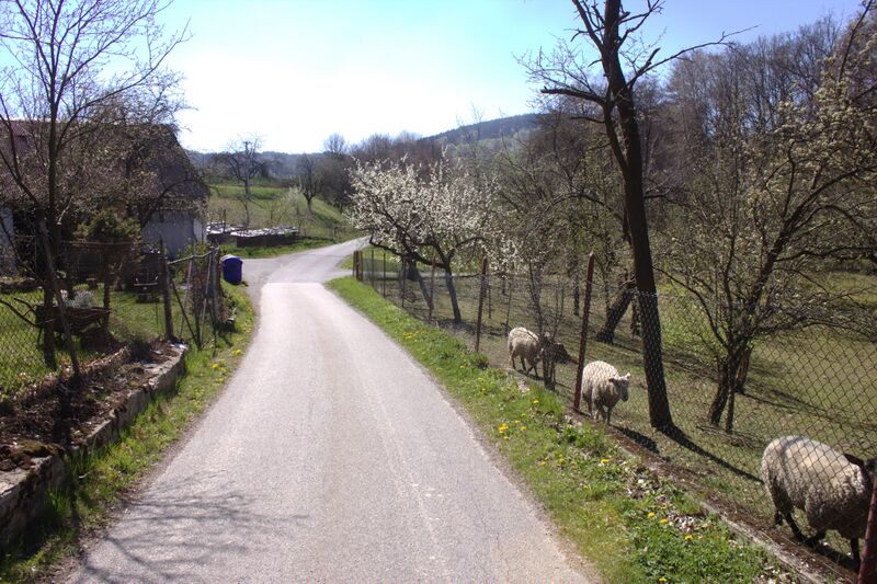 ملف:Dolní Kouty, silnice II.jpg