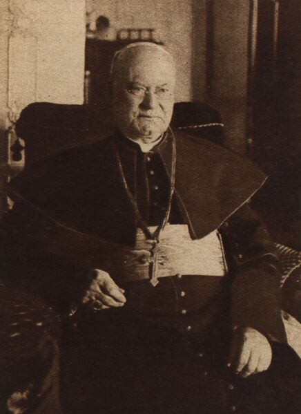 ملف:Johann Baptist Rößler (1850–1927).jpg