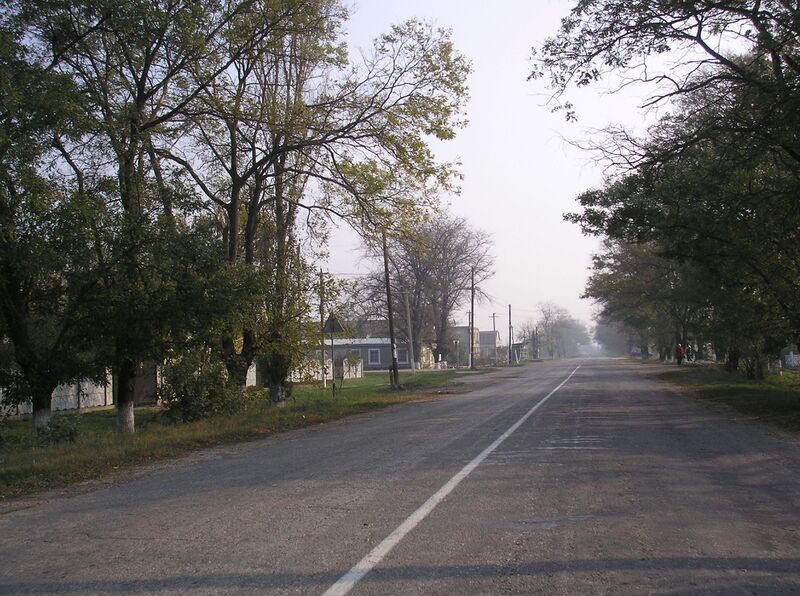 ملف:MitrofanovraNizn 1.JPG