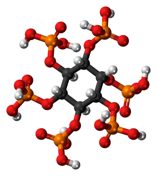 ملف:Phytic acid molecule ball.png