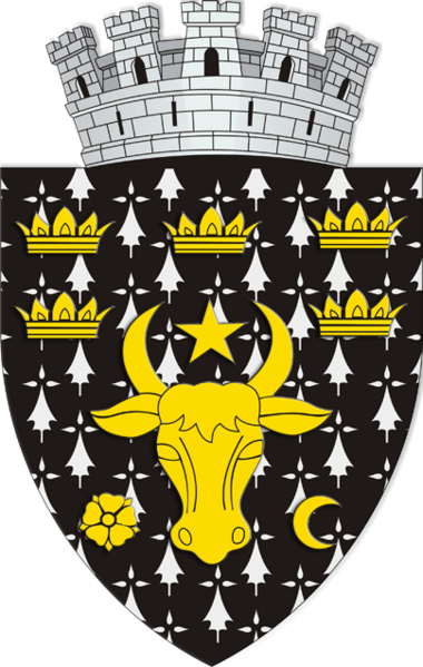 ملف:ROU SV Radauti CoA.png