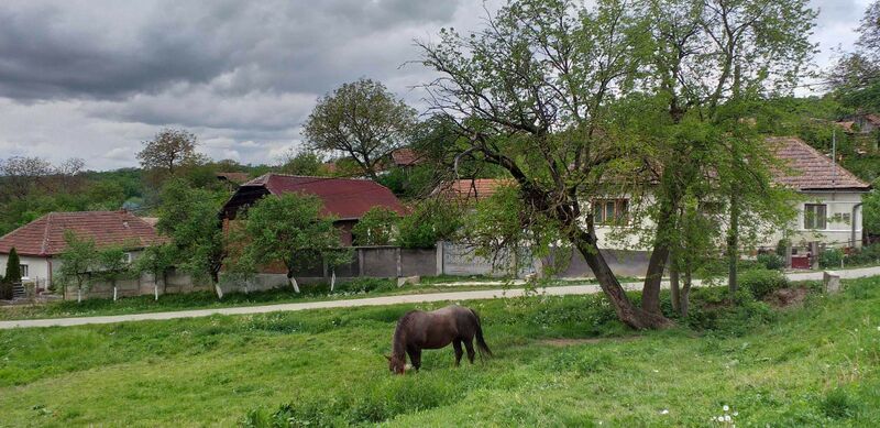 ملف:RO SJ Uileacu Șimleului.jpeg