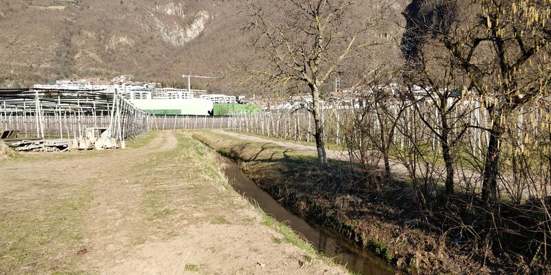 ملف:Rio Dolce a Pineta.jpg