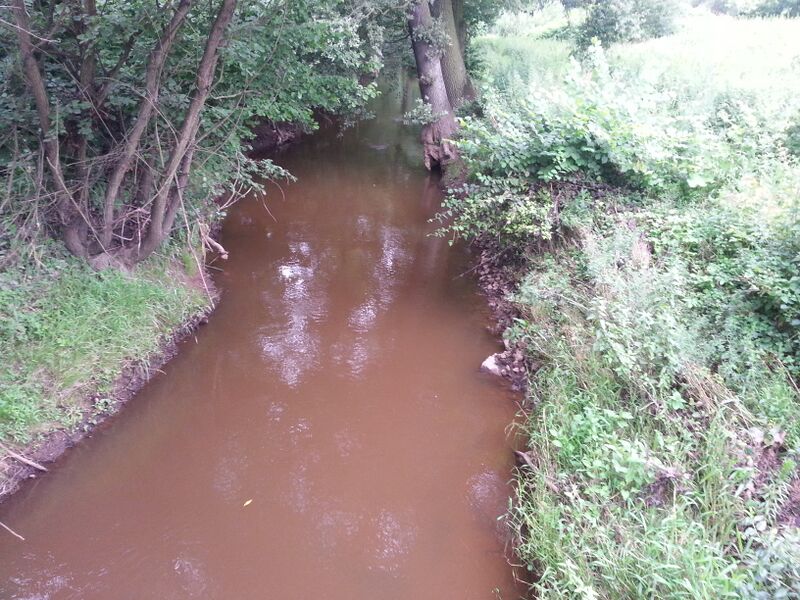 ملف:Ścinawa Niemodlińska.jpg