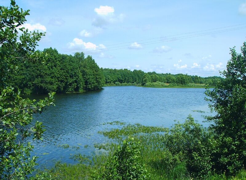 ملف:Shelubey lake.JPG