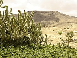 صحراء الصخور في حامة قابس