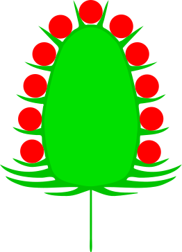 ملف:Koepfchen (inflorescence).svg