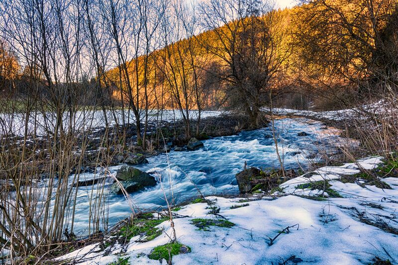 ملف:Odeborn im Winter.jpg