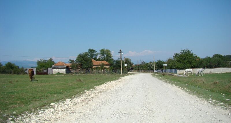 ملف:RO GJ Balani (2).JPG